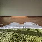 Go Shnelli Hotel