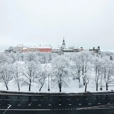 Go Shnelli Tallinn