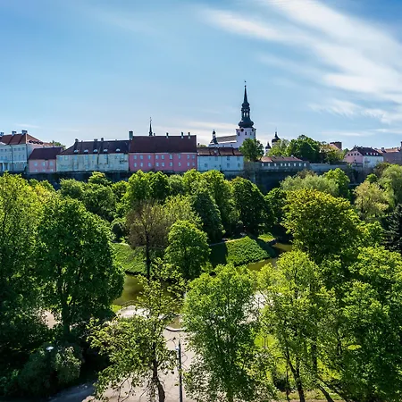 Go Shnelli Tallinn