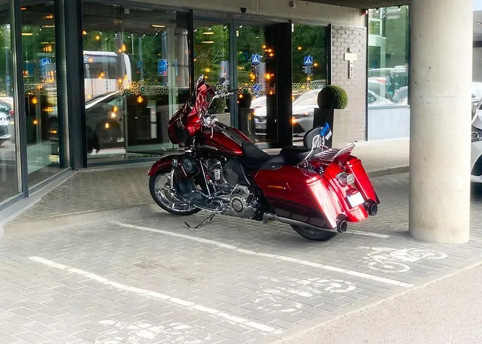 고 슈넬리 탈린