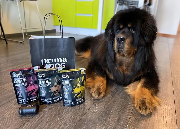 고 슈넬리 탈린